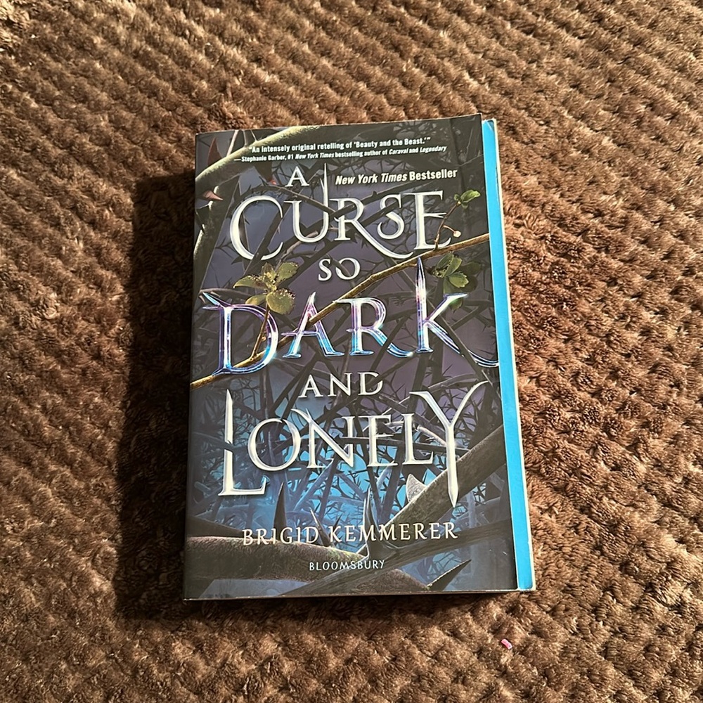 A Curse so Dark and Lonely by Brigid Kemmerer book 1 in Trilogy